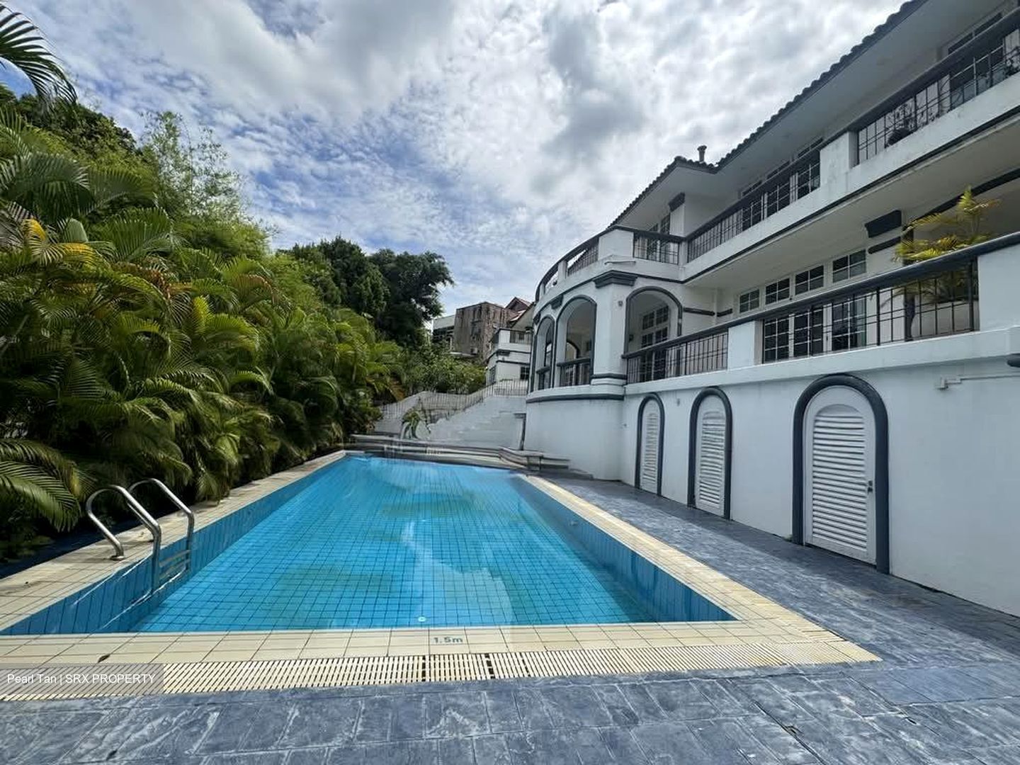 Leedon Park (D10), Semi-Detached #555593141